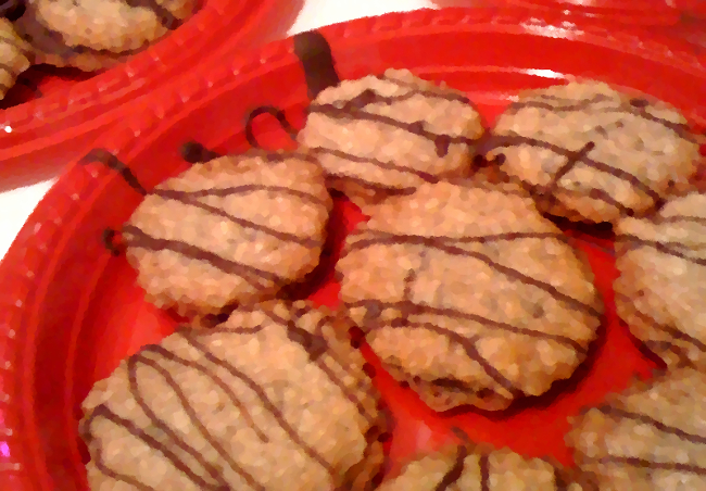 Chocolate oatmeal cookies